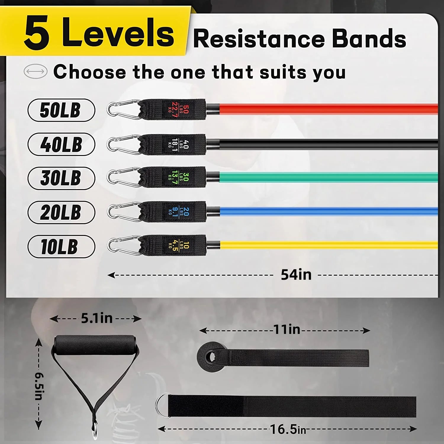 150 lbs Resistance Bands Set with Handles for Strength Training at Home - Exercise Bands for Men and Women